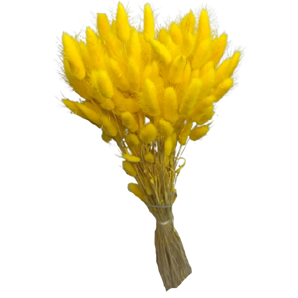 Букет из сухих цветов Лагурус микс 1 70 см Santreyd STLM-2132636 - Вид №8