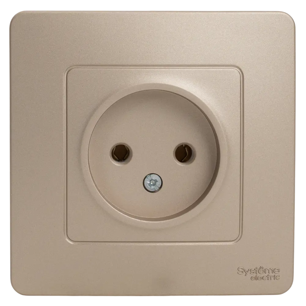 Розетка встраиваемая Systeme Electric Blanca без заземления без шторок цвет титановый STLM-2113222
