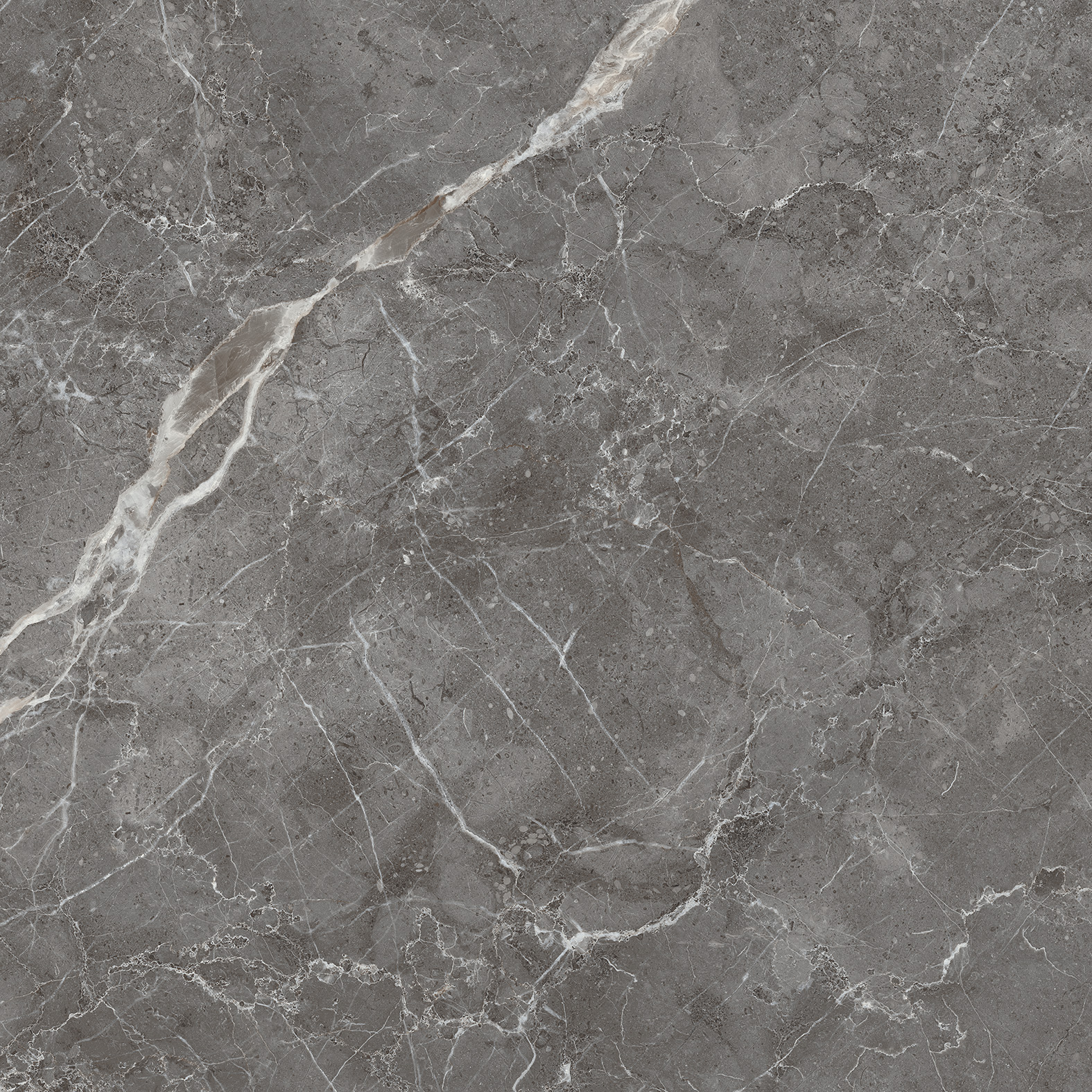 Керамогранит ESPERIA GRIGIO 60х60 Arcadia Ceramica CR6001-A  - Вид №1