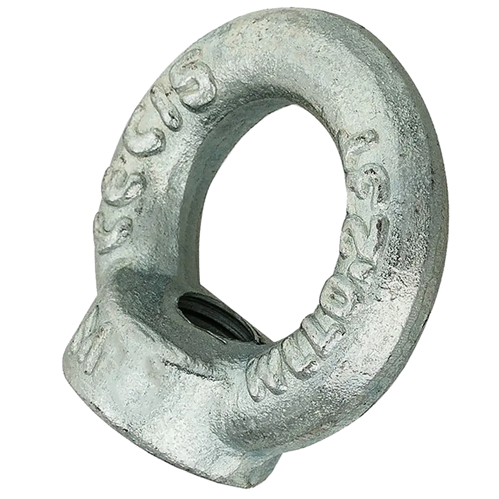Рым-гайка DIN 582 10 мм, 5 шт. 82553743 STLM-2167024 Santreyd 