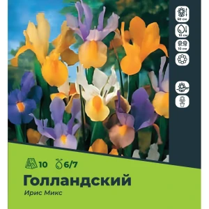 Ирис голландский микс луковицы 6/7, 10 шт. 89049673 STLM-2198102