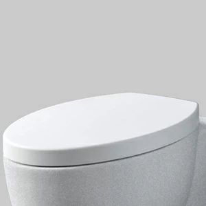 CPVCUTF-ST Крышка сиденье для унитаза Ceramica Cielo