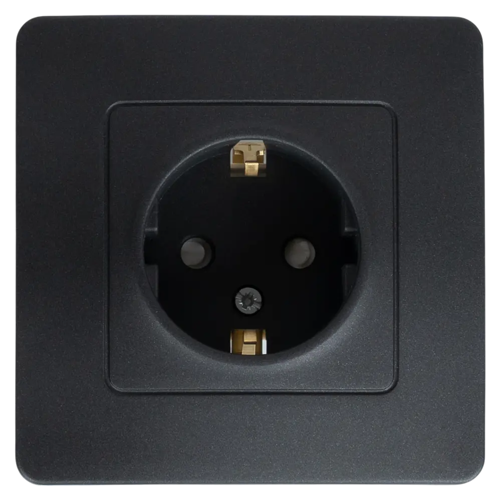 Розетка встраиваемая Systeme Electric Blanca с заземлением со шторками цвет антрацит STLM-2187996