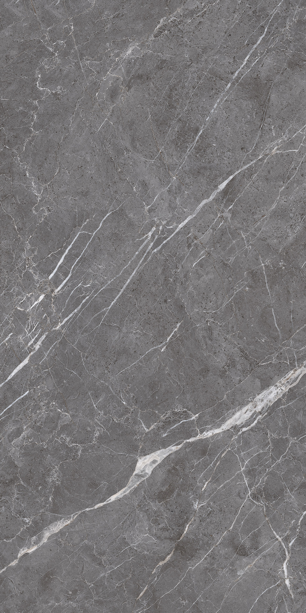 Керамогранит ESPERIA GRIGIO LAPPATO 60х120 Arcadia Ceramica CL4003-A - Вид №7