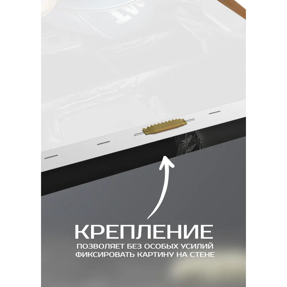 Картина на холсте Кот-хипстер 2 70x110 см FBRUSH STLM-2123994 - Вид №5