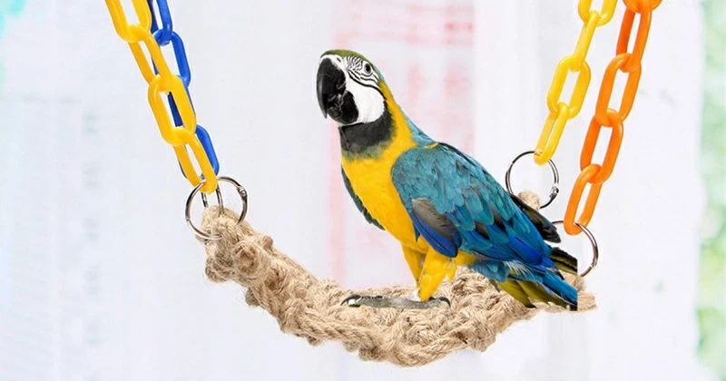 Набор “Сделай сам” для средних попугаев