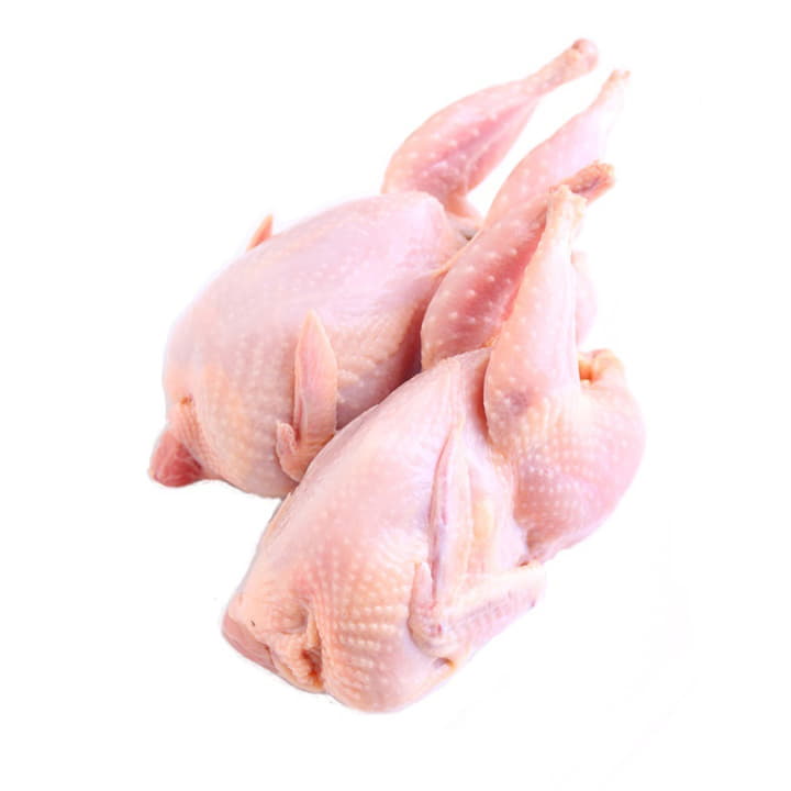 Перепёлка Фараон ~300 г Santreyd 18919 - Вид №1