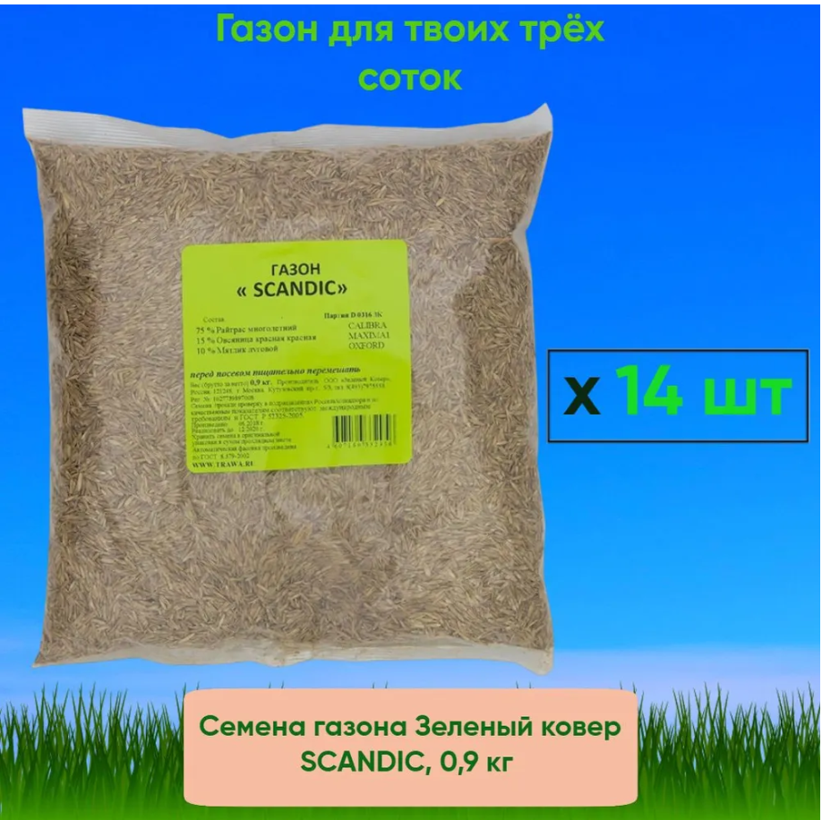 91020326 Семена газона SCANDIC 0.9 кг x 14 шт 3 сотки STLM-0444361 ЗЕЛЕНЫЙ КОВЕР