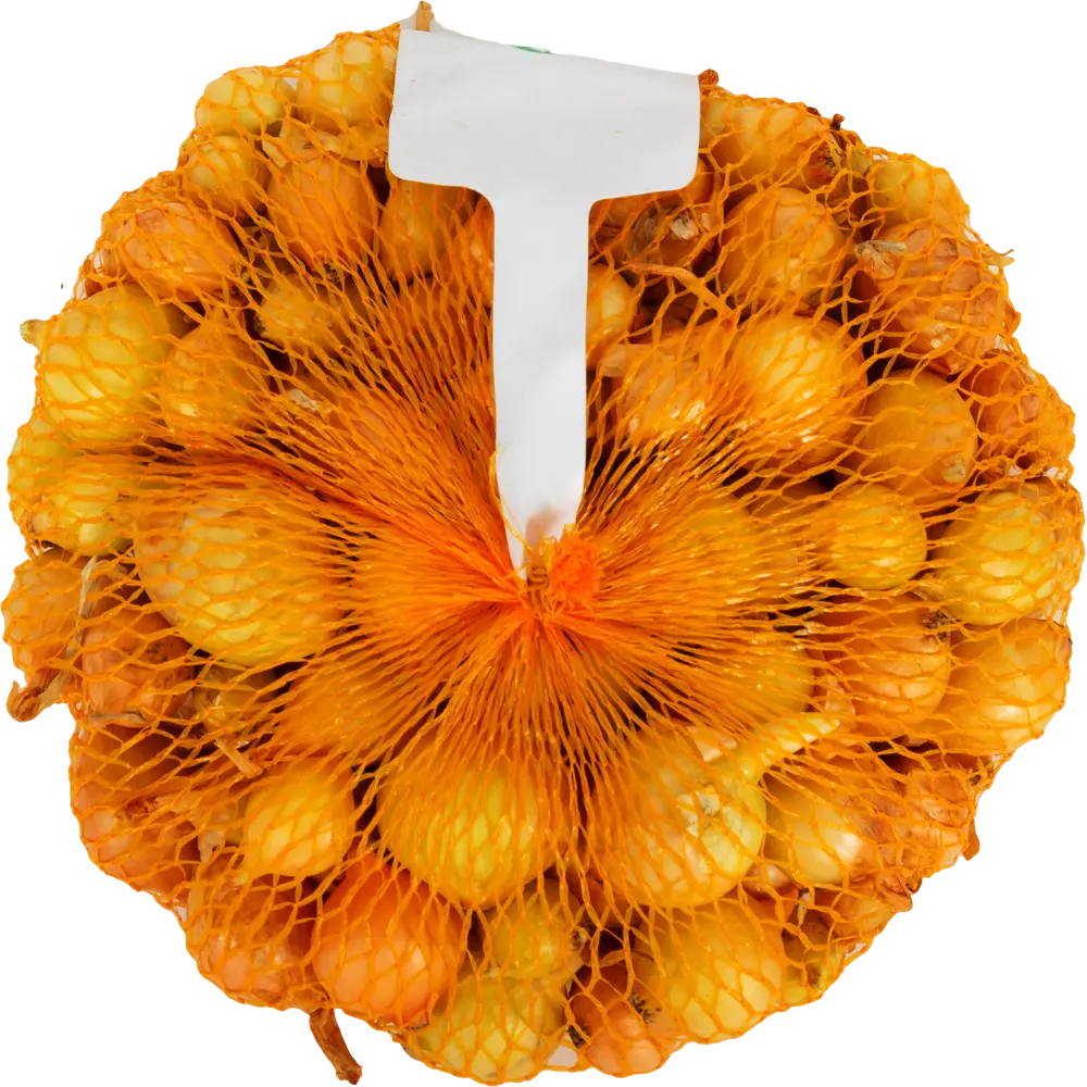 Лук-севок «Штутгартер Ризен», диаметр луковицы 14-21 мм Santreyd STLM-2085284 - Вид №1