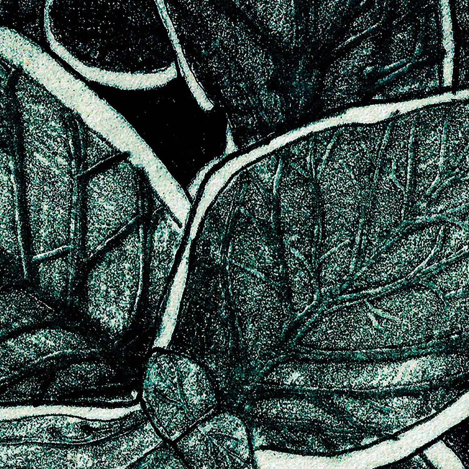 Обои с рисунком Ressource Faune &amp ARCH-00031135 - Вид №11