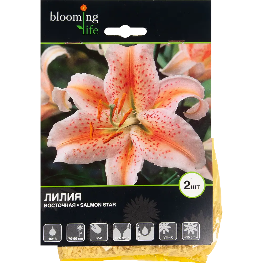 Лилия восточная Салмон Стар BLOOMING LIFE STLM-2128189