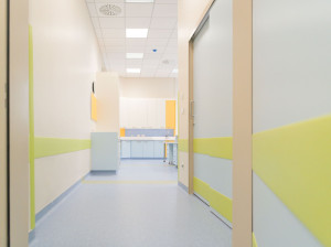 Защитное и антибактериальное лечение ионами серебра