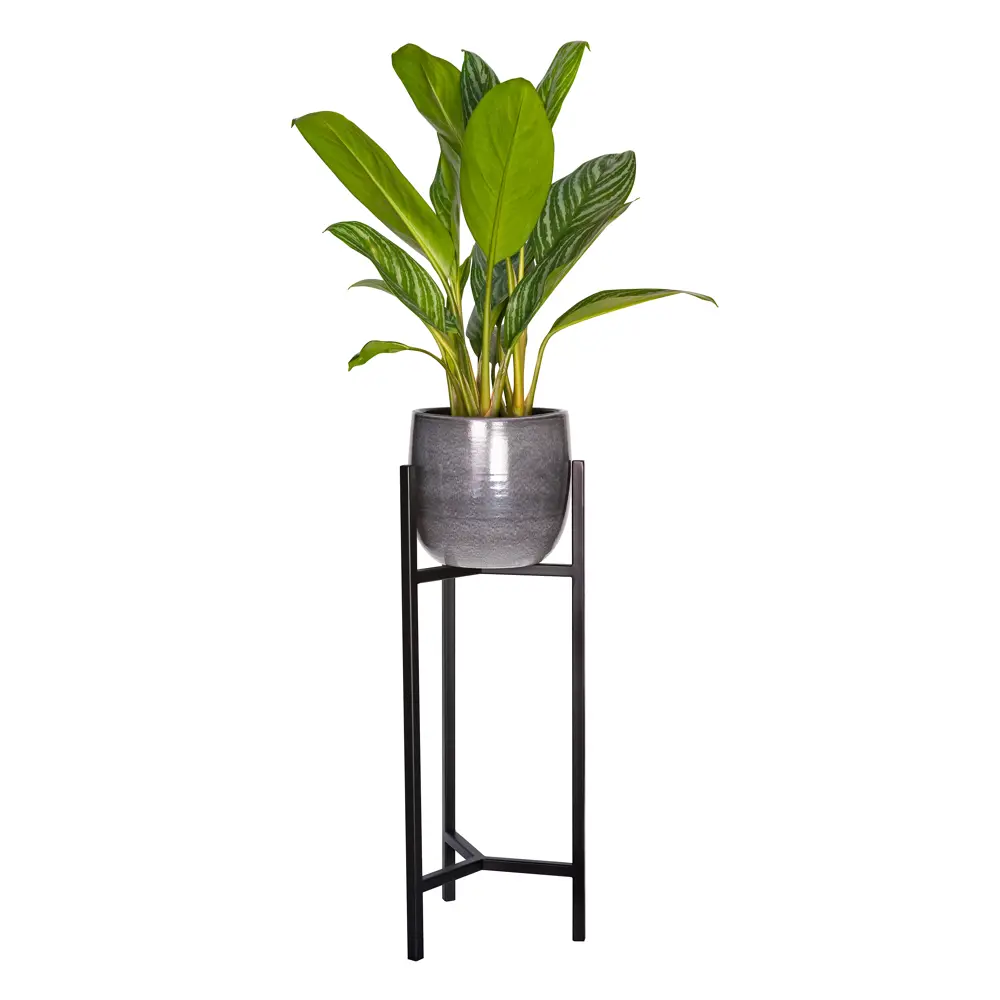 Подставка для кашпо Trinity 60, цвет чёрный GreenWeen STLM-2191974 - Вид №3