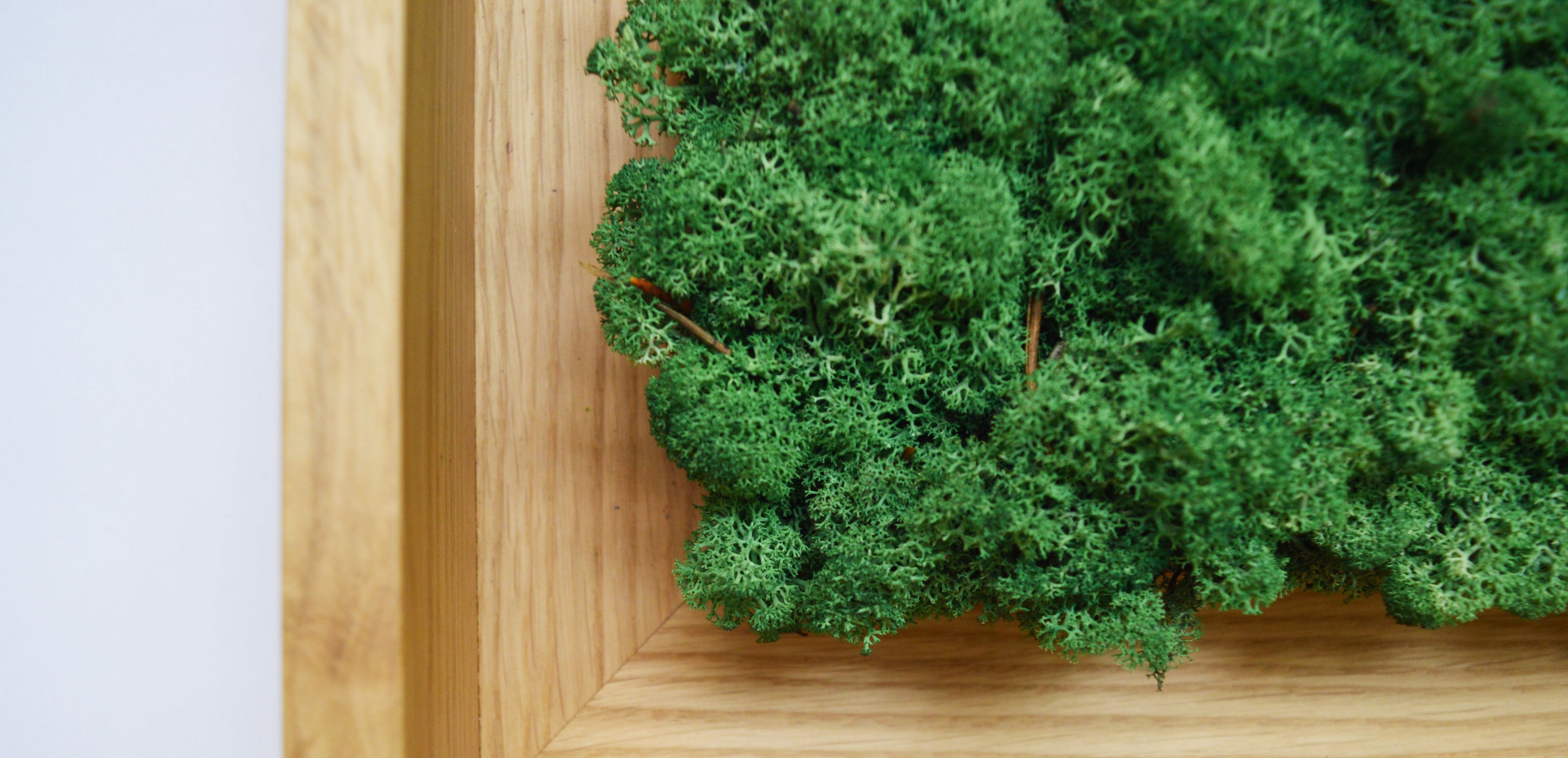 Акустическая панель из мха GREENMOOD FRAMED GEOMETRIC ARCH-00124960 - Вид №18