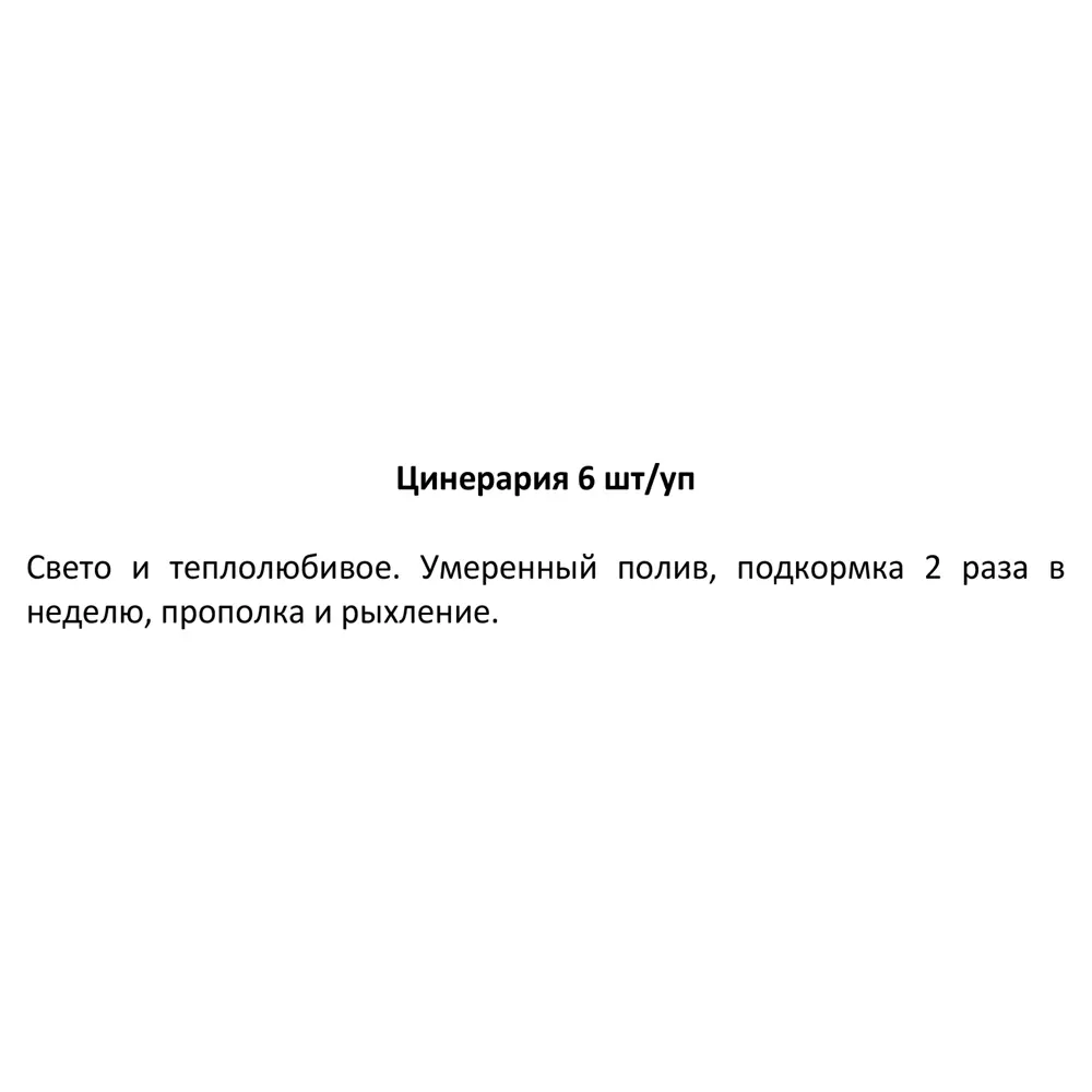 Рассада Цинерария h15 см, 6 шт. 83248312 STLM-2159155 Santreyd  - Вид №2