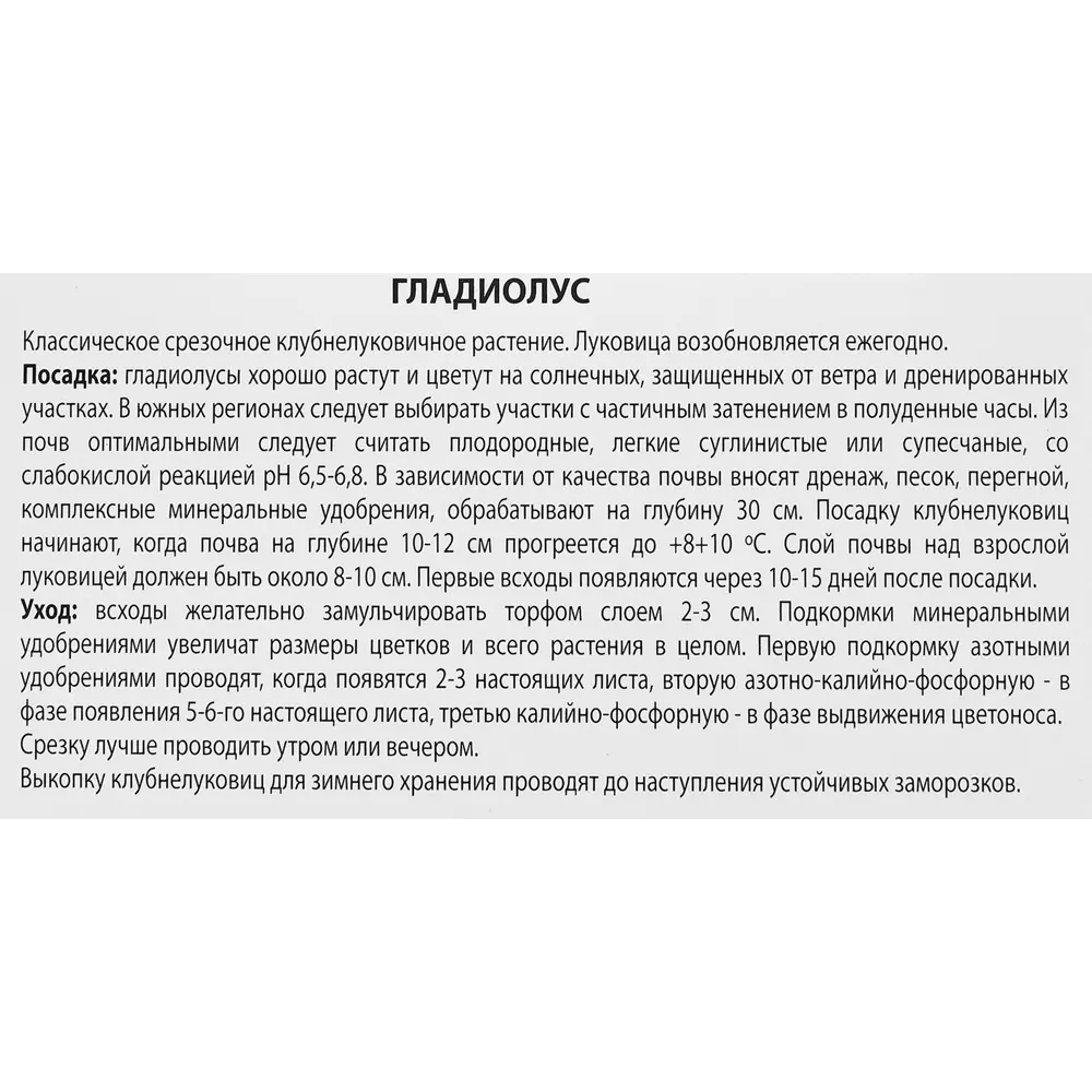 Гладиолус крупноцветковый Блу Берд, 3 шт ПОИСК STLM-2187025 - Вид №2