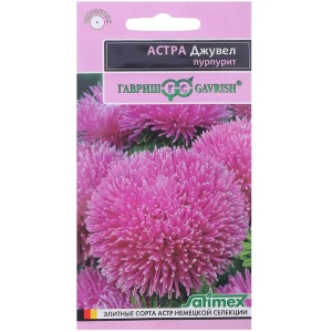 Астра пурпурит «Джувел» 0.1 г, h11 (Эксклюзив) 81933405 STLM-2077200