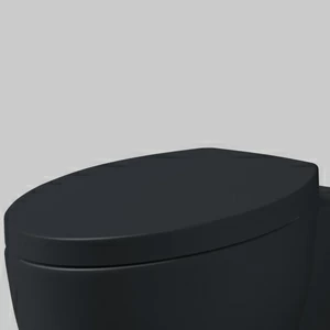 CPVCUTF-BA Крышка сиденье для унитаза Ceramica Cielo
