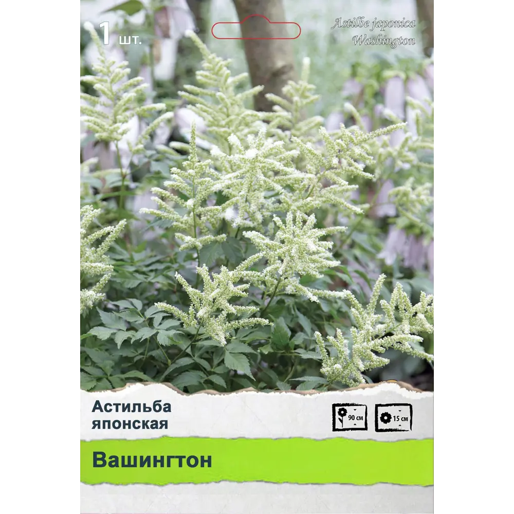 Астильба 89452184 STLM-2200202 ПОИСК 