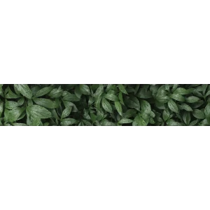 Стеновая панель Botanical Gar 300x0.4x60 см алюминий цвет зеленый