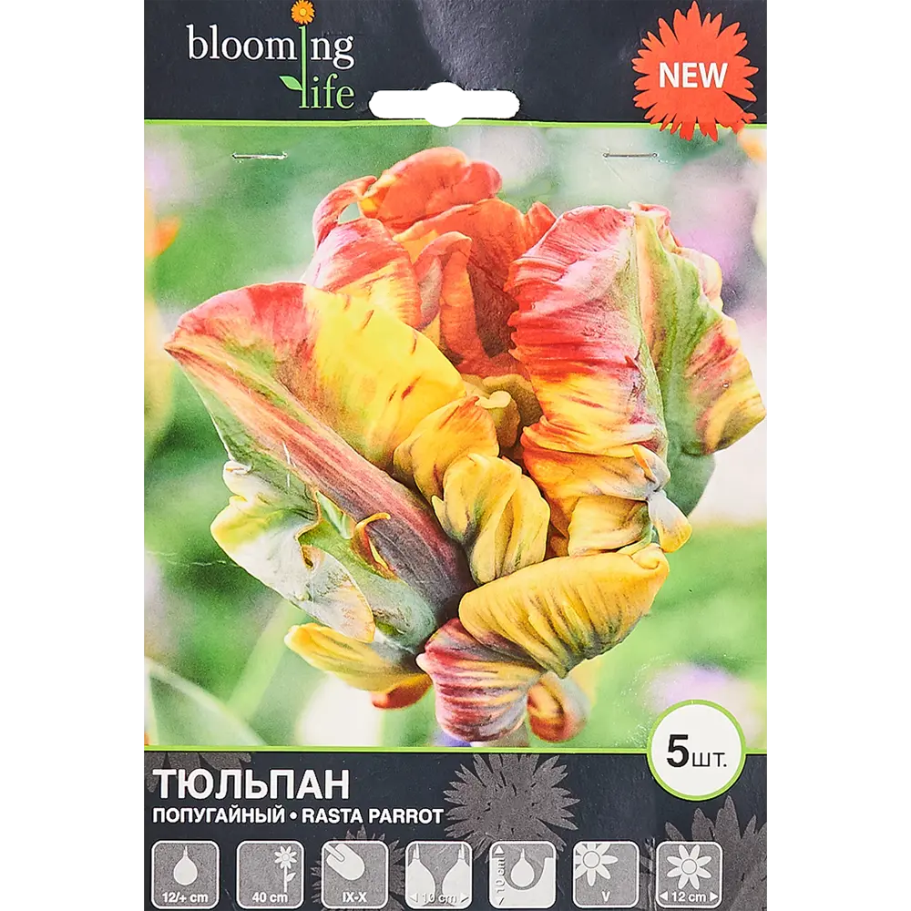Тюльпан «Раста Перрот» размер луковицы 12, 5 шт BLOOMING LIFE STLM-2179918
