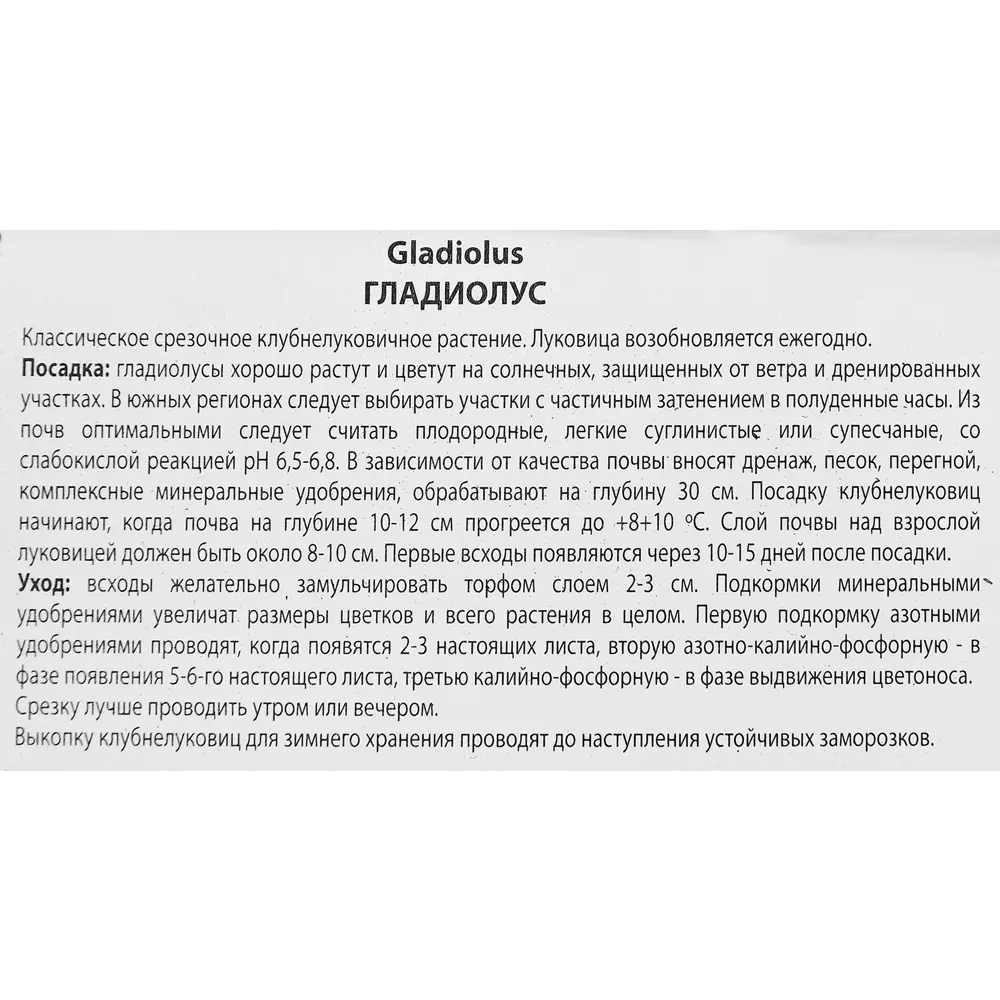Гладиолус крупноцветковый Рэвел, 3 шт. 89351796 STLM-2024956 ПОИСК  - Вид №2