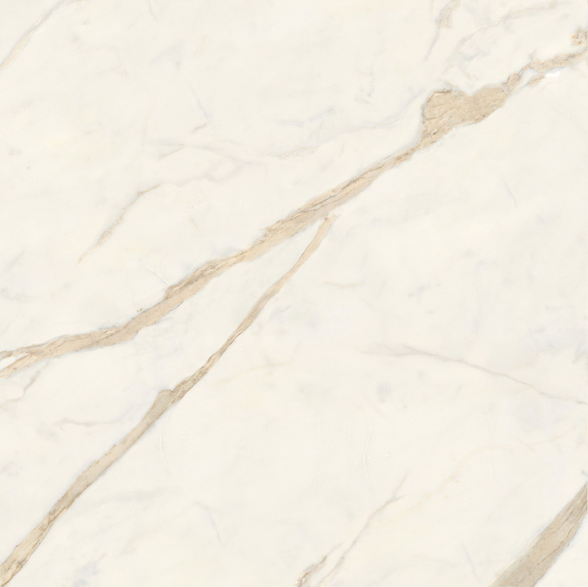 Пол / керамогранит с мраморным эффектом Italgraniti Marble Touch ARCH-00062183 - Вид №12