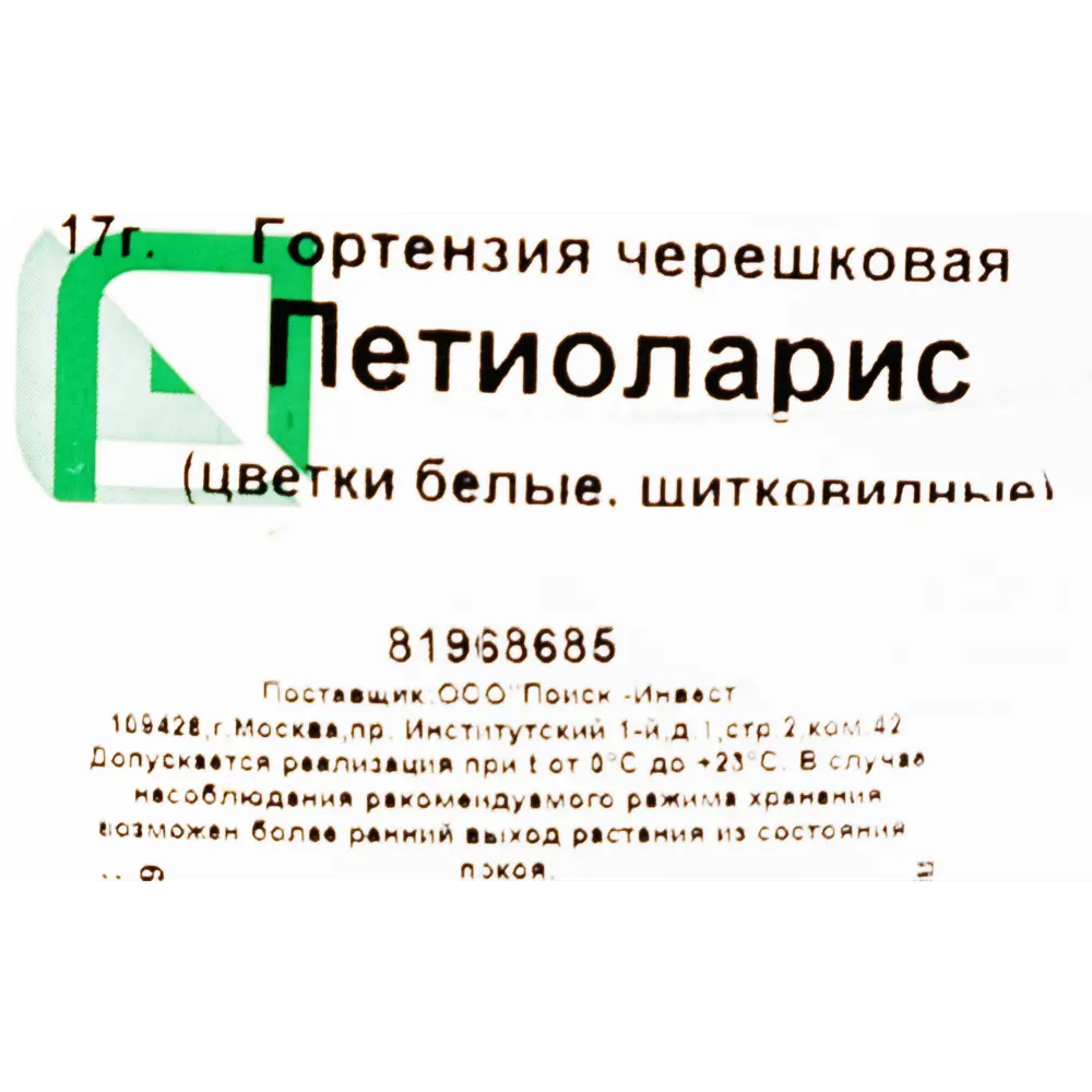 Гортензия черешковая «Петиоларис», контейнер 2 л 81968685 STLM-2056764 Santreyd  - Вид №1