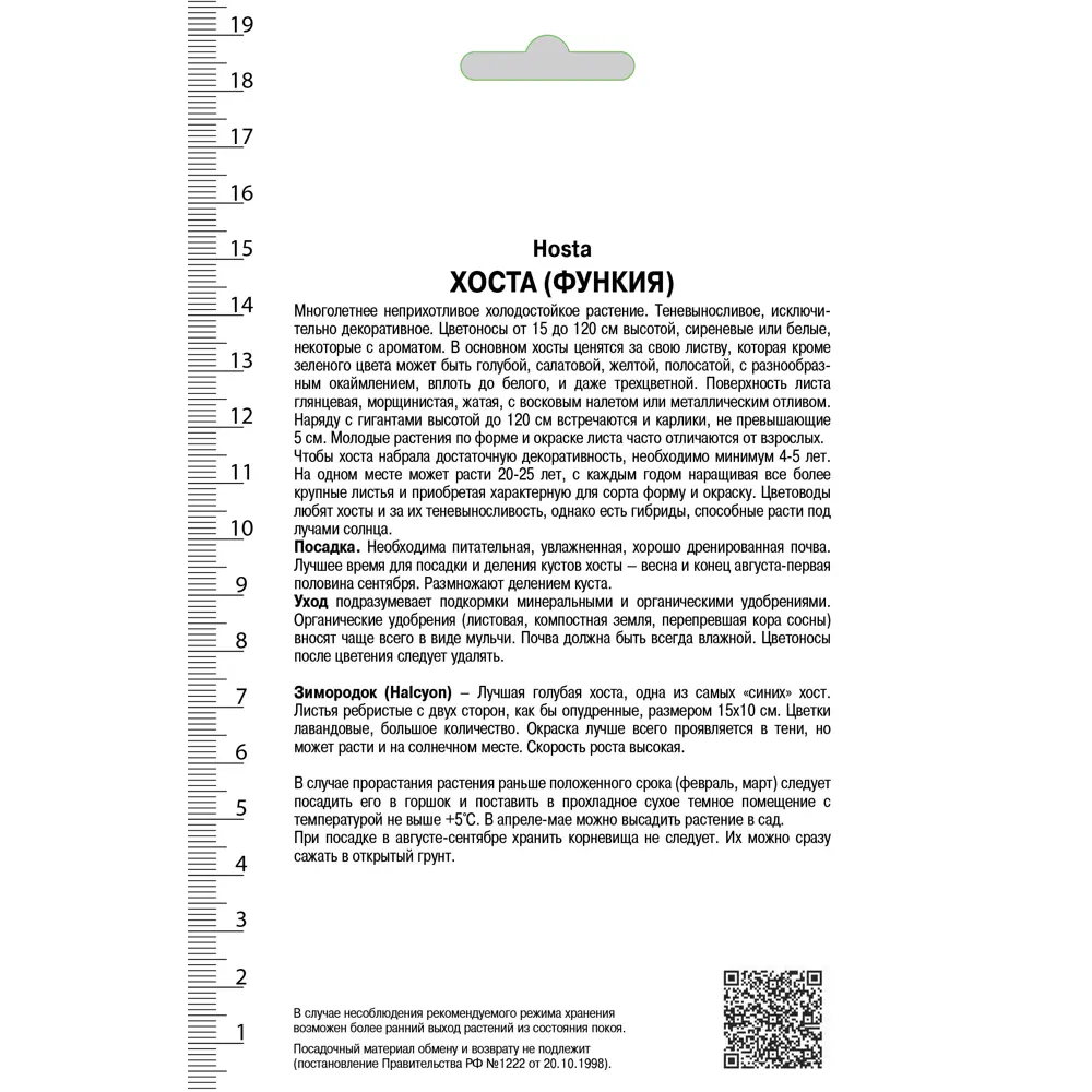 Хоста поздняя «Халцион», 1 шт Santreyd STLM-2207717 - Вид №1