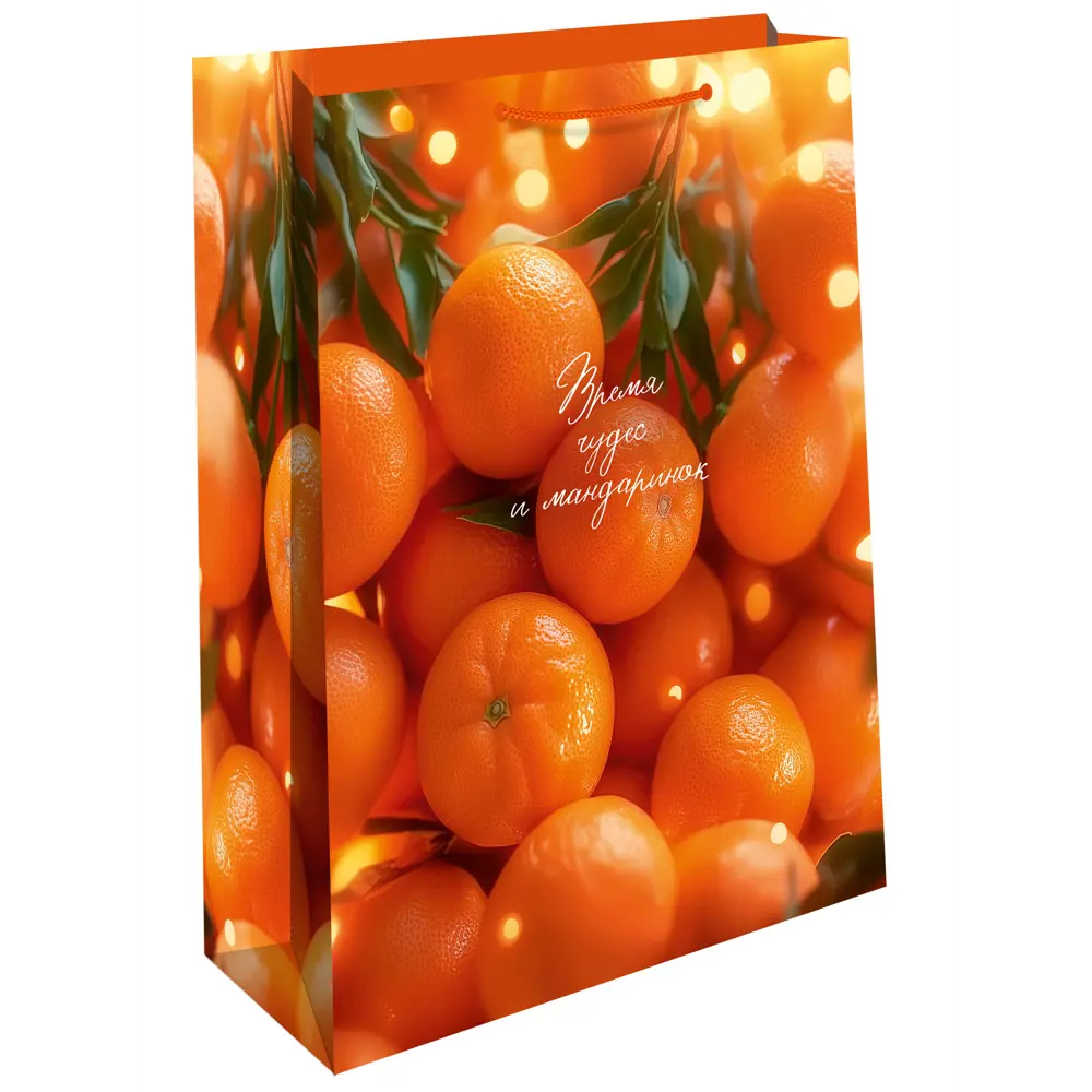 Подарочный пакет Арт и дизайн 32x26 см бумажный в ассортименте STLM-2182368