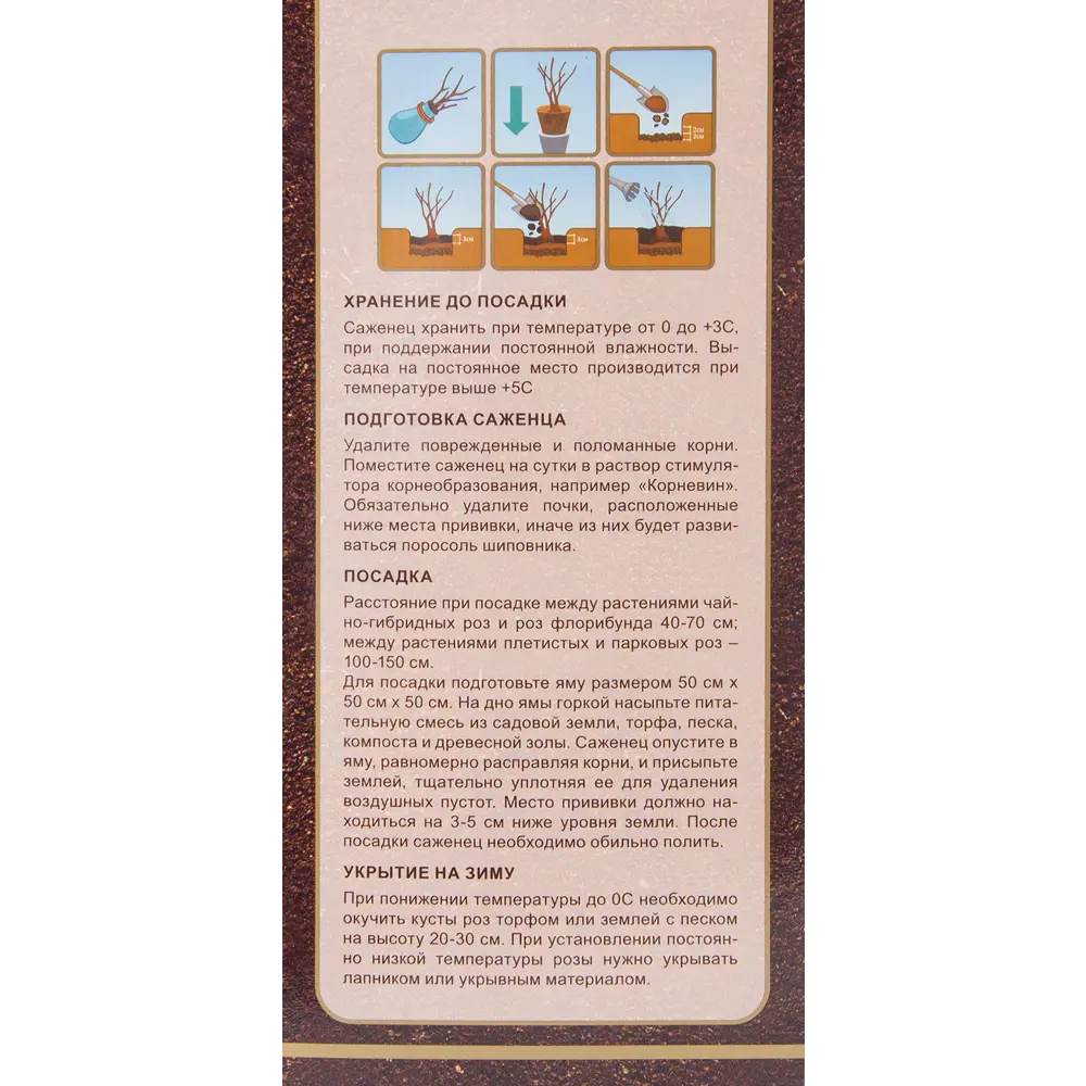 Роза чайно-гибридная Голдика в тубе ВСЕ В САД STLM-2137325 - Вид №2