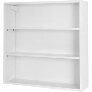 Каркас шкафа подвесного Sensea Смарт 60x60х15 см цвет белый