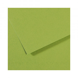 200321154 Бумага для пастели Mi-Teintes 160 г/м2 50 х 65 см лист №475 зеленое яблоко Canson
