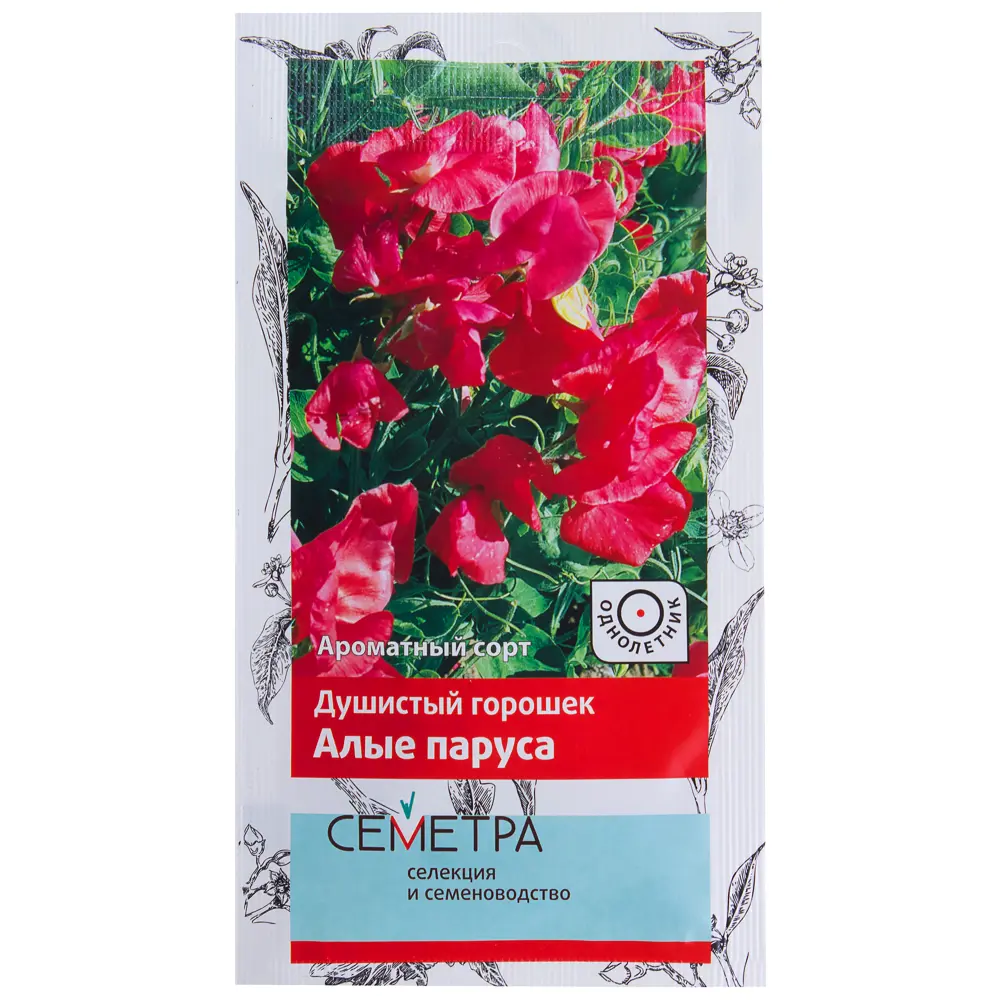Душистый горошек «Алые паруса» 18359151 STLM-2085170 ПОИСК 