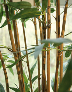5743 883 a3 Бамбук искусственный, в горшке, 1950 листьев, 210 см, зеленый H-andreas