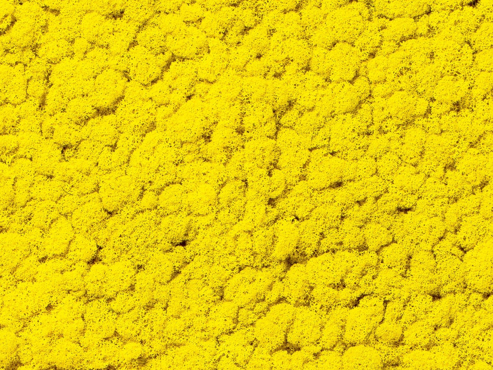 Растительная стена из мха Freund GmbH Green ARCH-00131248 - Вид №15