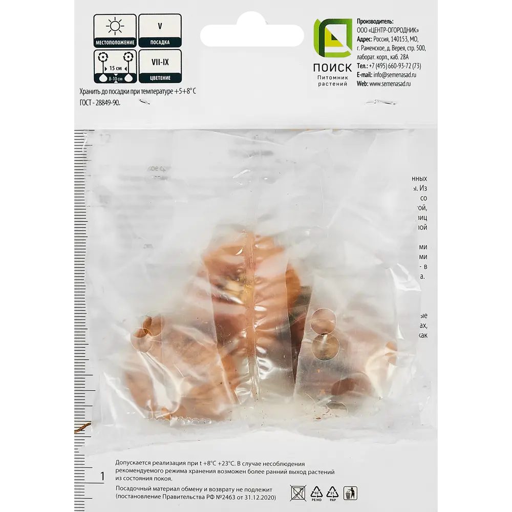 Гладиолус бамбино Ривендейл, 3 шт ПОИСК STLM-2034580 - Вид №1