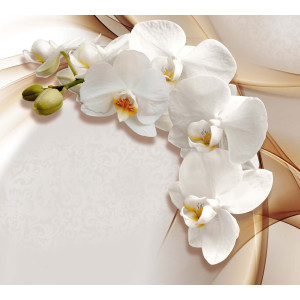 Фотообои Белая орхидея флизелиновые, 300х270 cм, 6252-Л МОСКОВСКАЯ ОБОЙНАЯ ФАБРИКА Malex factory