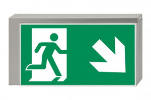 DST-886 Lisu pennant Daisalux Светильники аварийные Серебристо-Серый