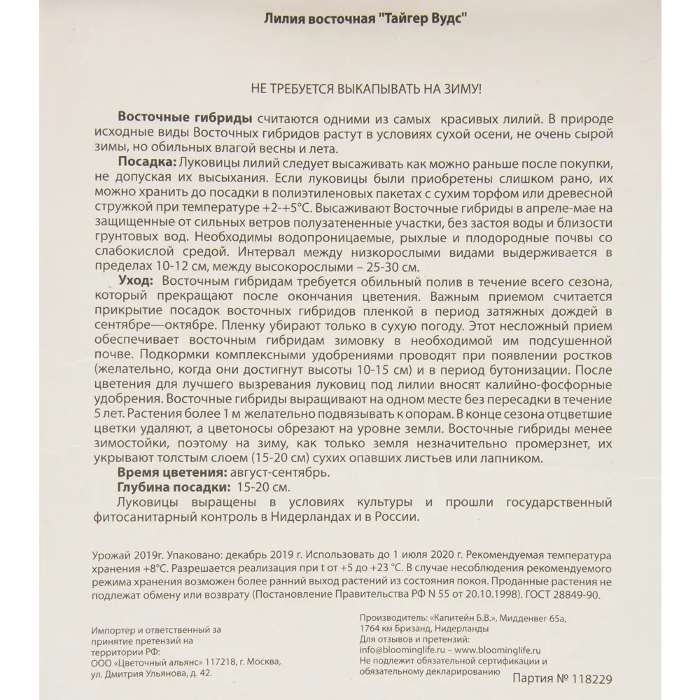 Лилия восточная «Тайгер Вудс» BLOOMING LIFE STLM-2149594 - Вид №2