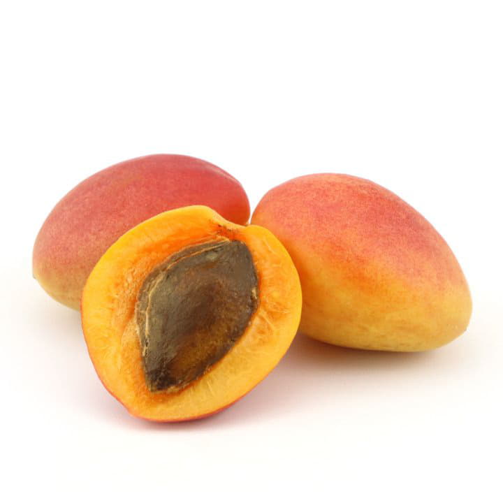 Абрикосы Santreyd 5064 - Вид №1