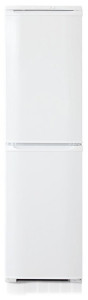92709485 Отдельностоящий холодильник Б-120 48x165 см цвет белый STLM-0537096 БИРЮСА