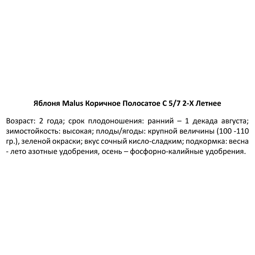 Яблоня Коричное полосатое ø22 h80 см 84834901 STLM-2176023 PLANTMARKET  - Вид №4