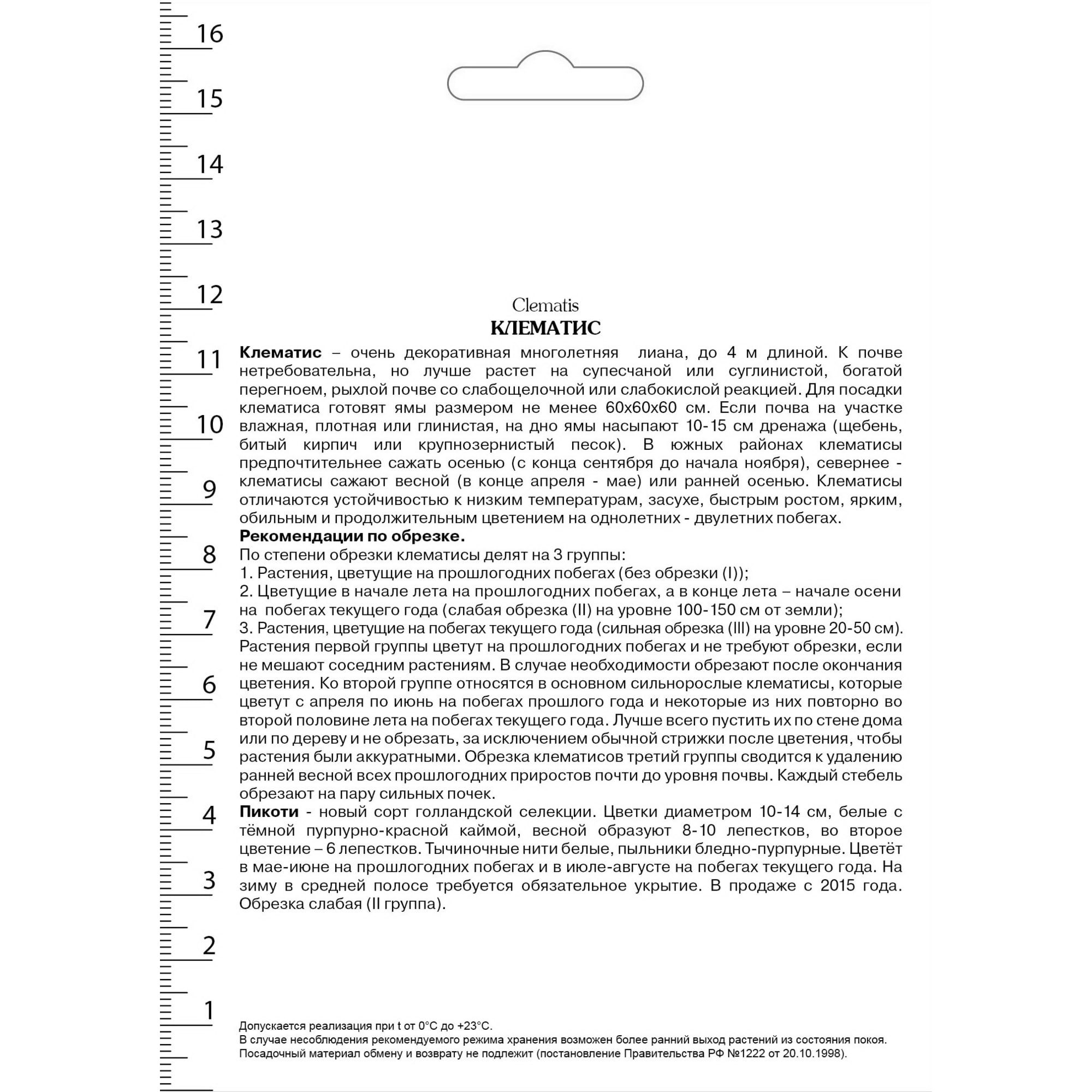 82527454 Клематис крупноцветковый Пикоти в капере Santreyd  - Вид №1