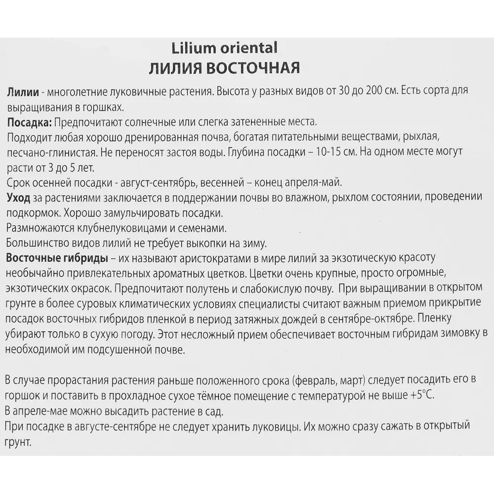 Лилия восточная Джейберд 86410097 STLM-2189936 ПОИСК  - Вид №2