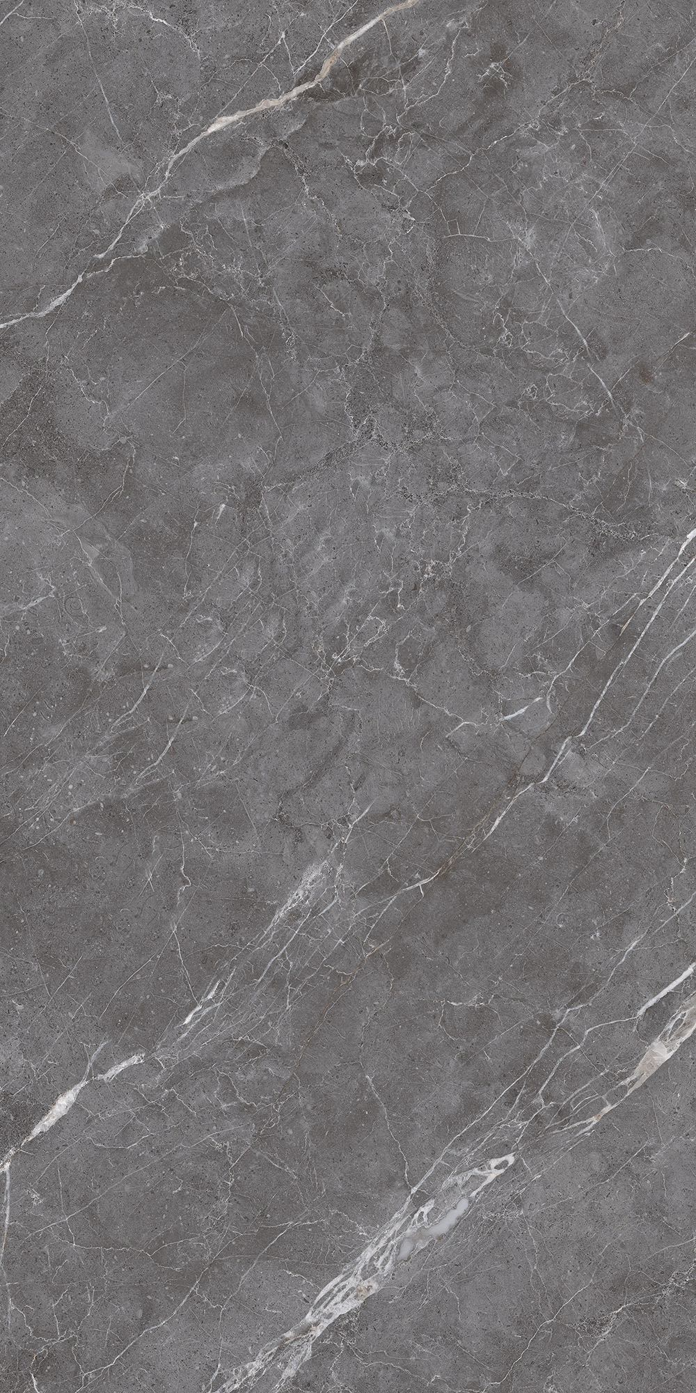 Керамогранит ESPERIA GRIGIO LAPPATO 60х120 Arcadia Ceramica CL4003-A - Вид №6