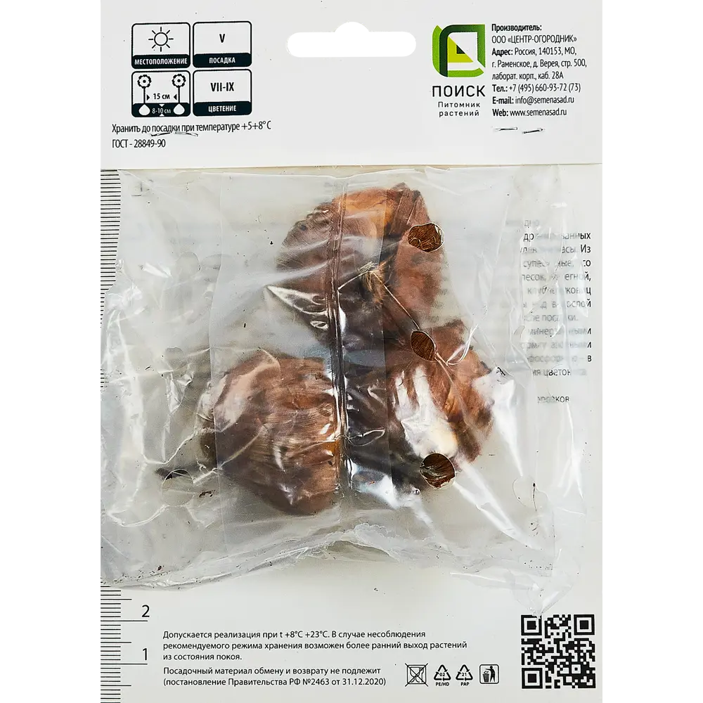 Гладиолус крупноцветковый Хидден Треже, 3 шт. 89351800 STLM-2162237 ПОИСК  - Вид №1
