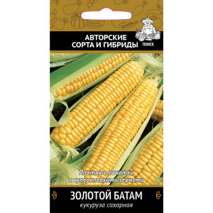 Семена Кукуруза сахарная «Золотой батам» ПОИСК