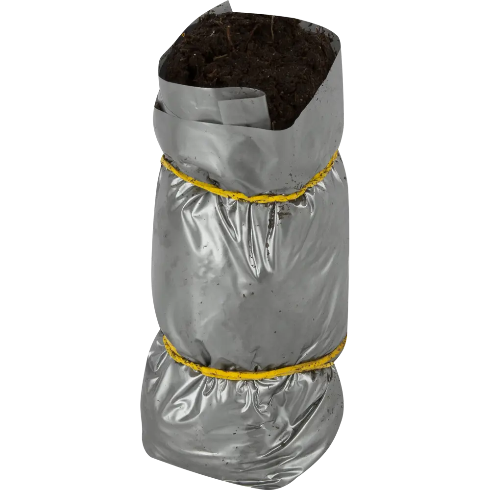 Клематис гибридный Рэд Стар в тубе ВСЕ В САД STLM-2034393 - Вид №1