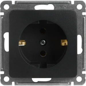 Розетка встраиваемая Hegel Мастер с заземлением цвет черный